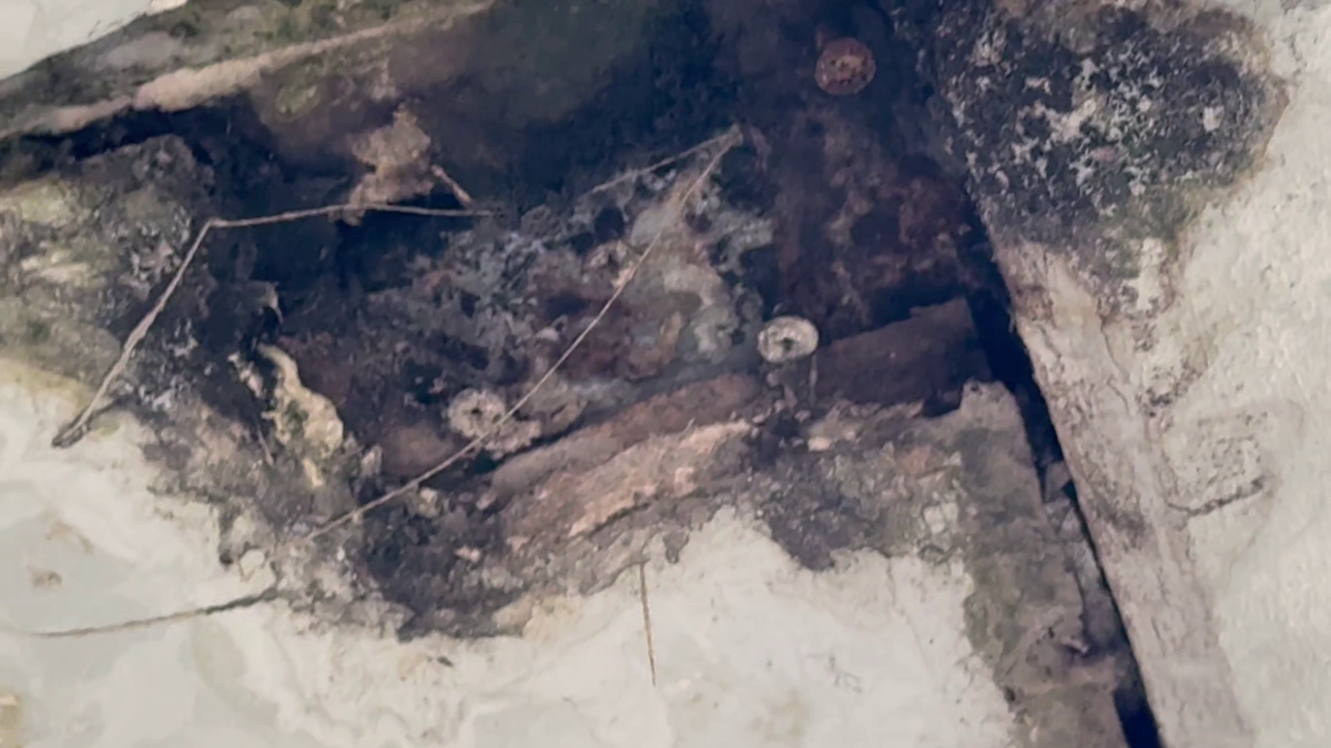 Organizatorii Neversea Kapital au anunțat oficial când are loc evenimentul pe Arena Națională