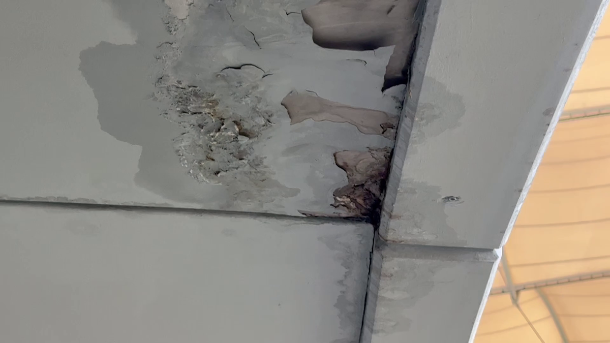 Organizatorii Neversea Kapital au anunțat oficial când are loc evenimentul pe Arena Națională