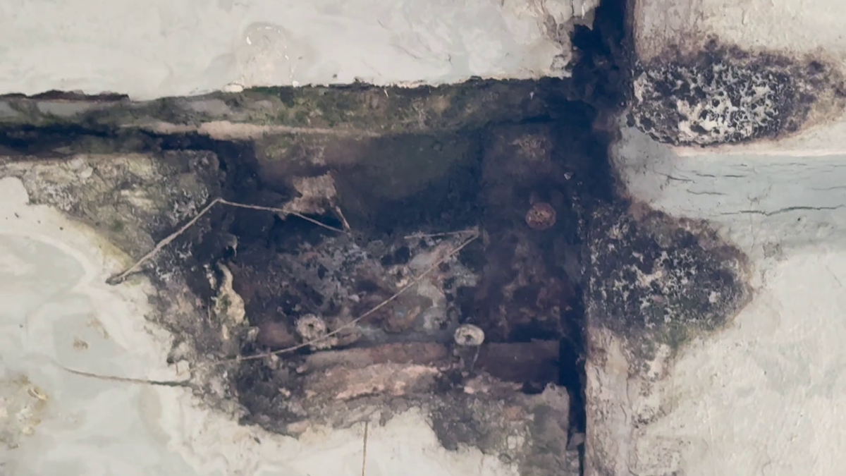 Arena Nationala - aprilie 2025