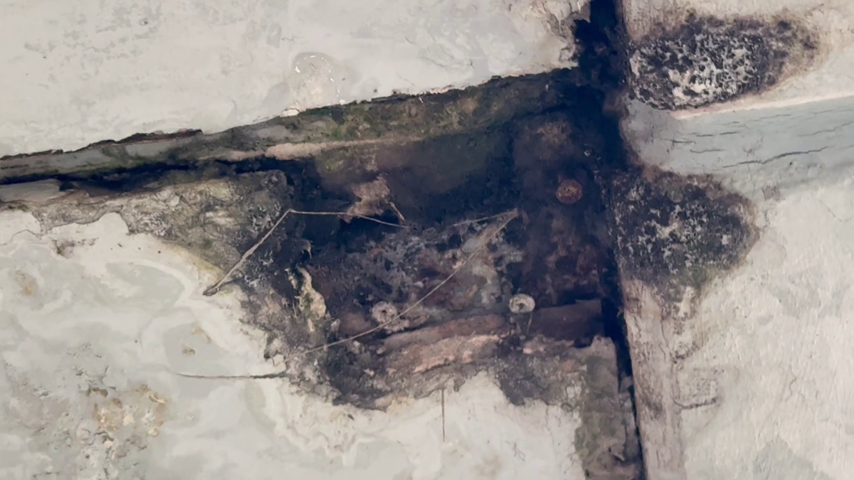 Arena Nationala - aprilie 2025