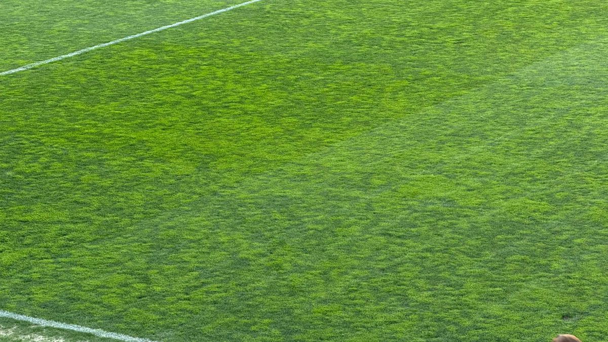 Imagini înainte de Rapid - U Cluj