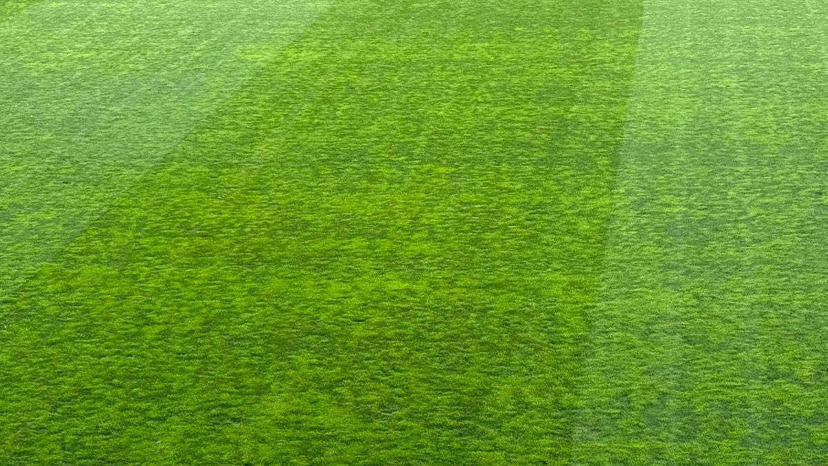 Imagini înainte de Rapid - U Cluj