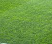 Imagini înainte de Rapid - U Cluj