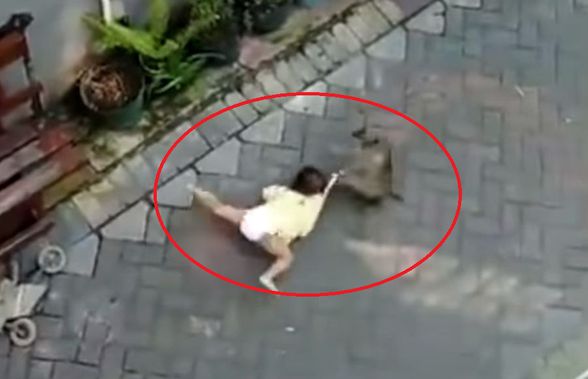 VIDEO Incident viral pe net: maimuța care a târât o fetiță pe stradă