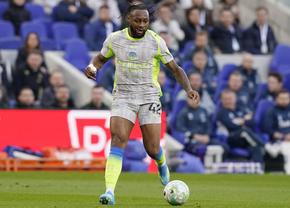 Starul lui Manchester City, victima insultelor rasiste în meciul cu Everton
