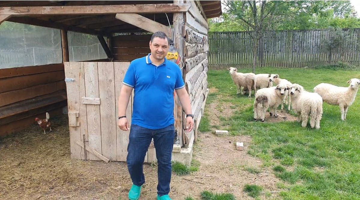 Badea „Găniță" » Ionel Ganea s-a retras în apropiere de Făgăraș și și-a ridicat o fermă. Are găini și oi de rasă