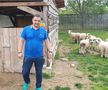 Badea „Găniță" » Ionel Ganea s-a retras în apropiere de Făgăraș și și-a ridicat o fermă. Are găini și oi de rasă