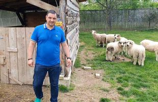 Badea „Găniță" » Ionel Ganea s-a retras în apropiere de Făgăraș și și-a ridicat o fermă. Are găini și oi de rasă