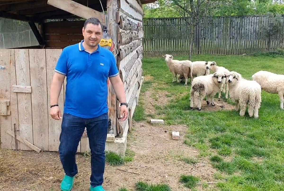 Badea „Găniță" » Ionel Ganea s-a retras în apropiere de Făgăraș și și-a ridicat o fermă. Are găini și oi de rasă
