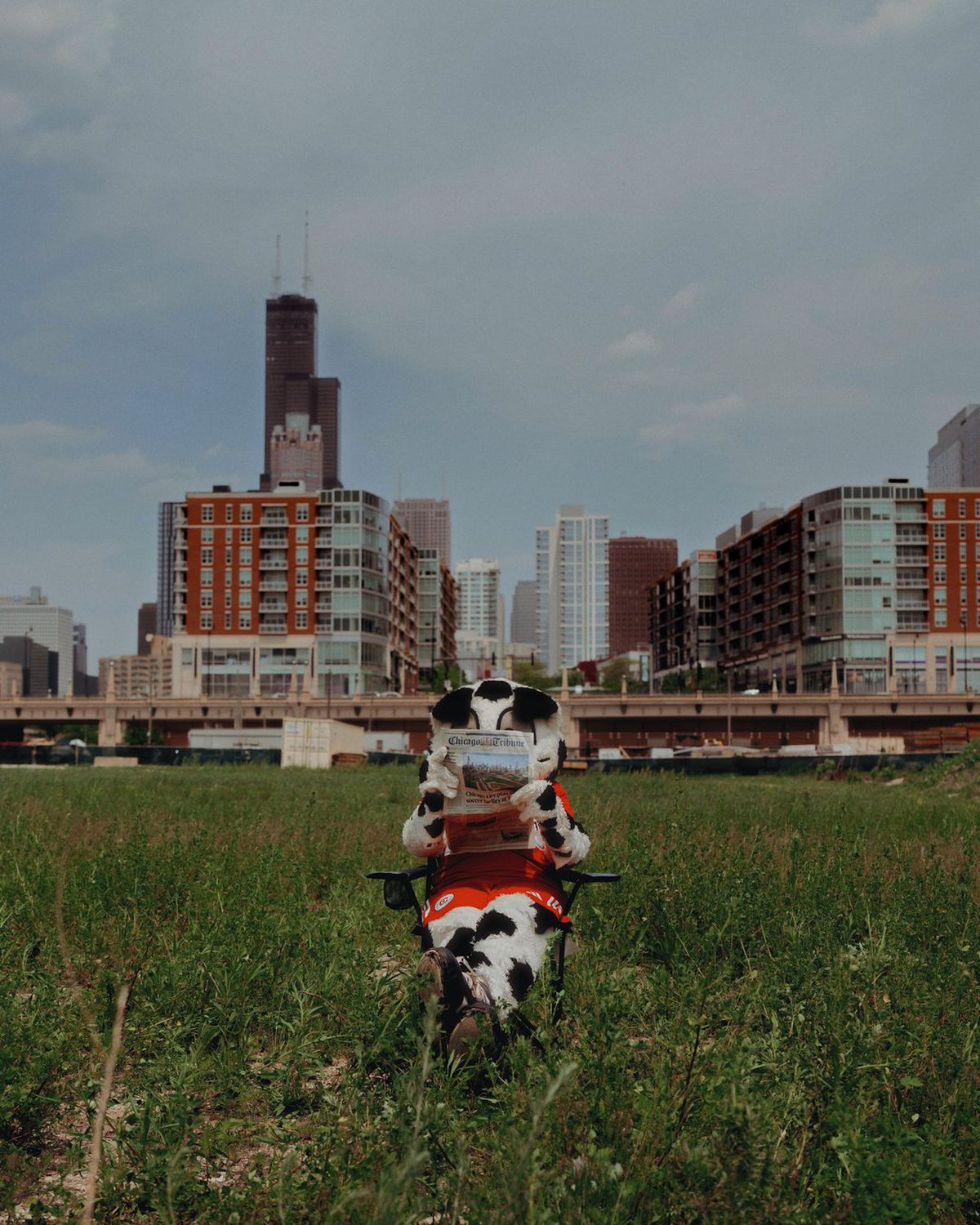 Stadionul Chicago Fire / foto: X