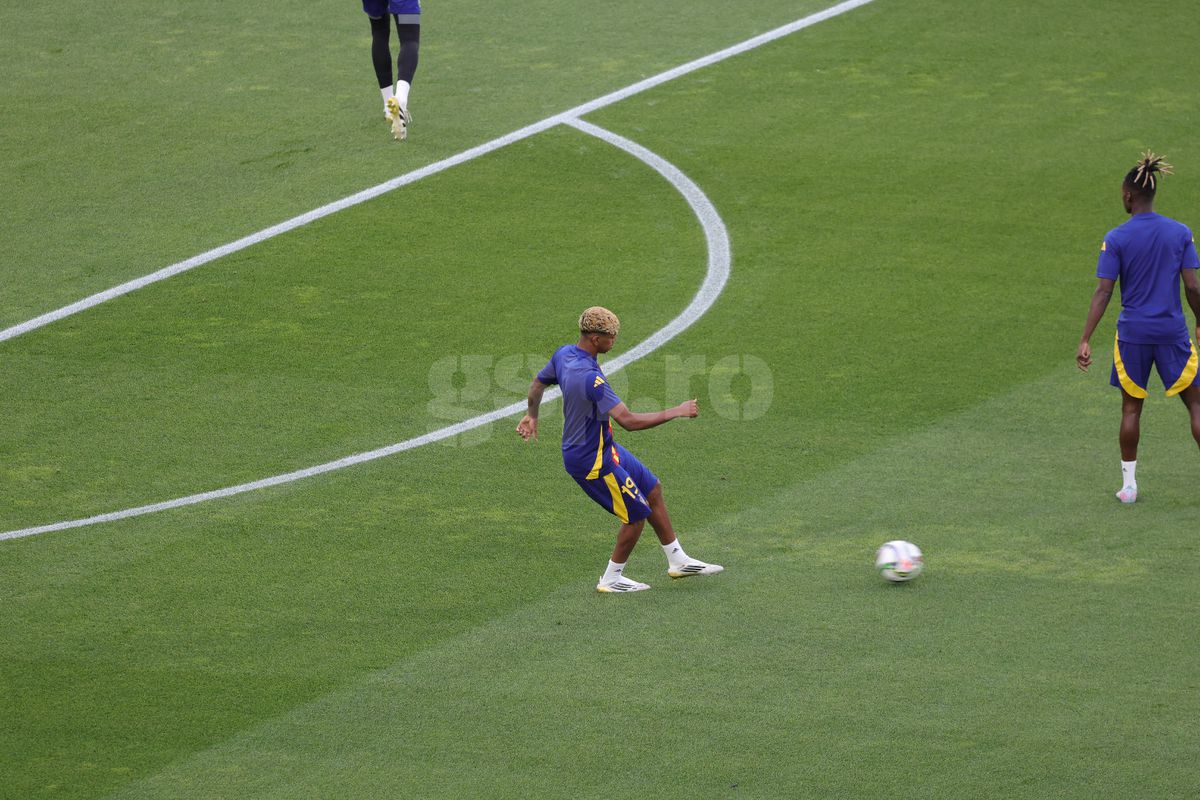 Spania - Franta / inainte de meci