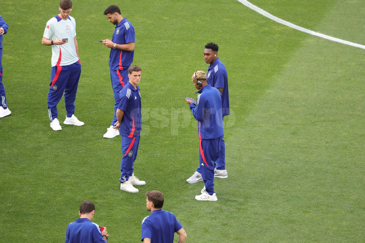 Spania - Franta / inainte de meci