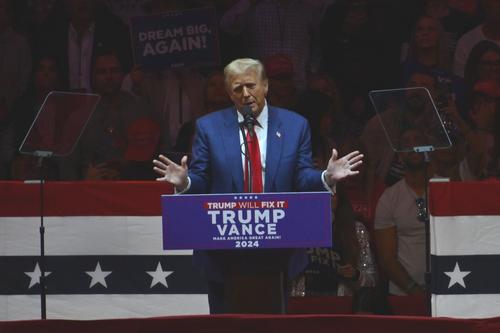 Donald Trump, în Madison Square Garden, în cadrul campaniei prezidențiale/Foto: Imago Images