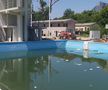 Ștrandul rațelor sălbatice » De 4 ani, autoritățile blochează renovarea Bazei Tineretului