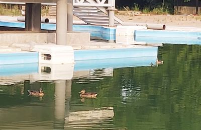 Ștrandul rațelor sălbatice » De 4 ani, autoritățile blochează renovarea Bazei Tineretului