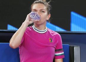 Ipoteză radicală a omului care a condus sportul românesc: „Te înlătură prin orice metode, iar Halep deranja”