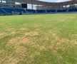 Cum arată gazonul arenei din Târgu-Jiu cu 11 zile înainte de FCU Craiova - FCSB