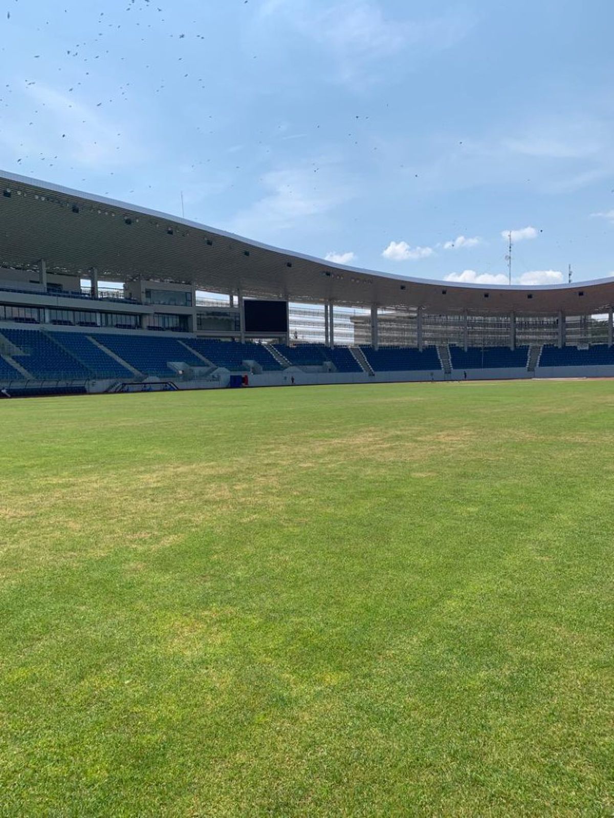 Cum arată gazonul arenei din Târgu-Jiu cu 11 zile înainte de FCU Craiova - FCSB