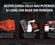 Informație vitală oferită de acționarii „câinilor”: „Red & White va fuziona cu Dinamo” + totul despre investiții și bugetul de milioane de euro