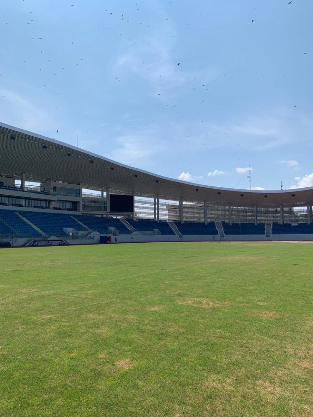 Cum arată gazonul arenei din Târgu-Jiu cu 11 zile înainte de FCU Craiova - FCSB