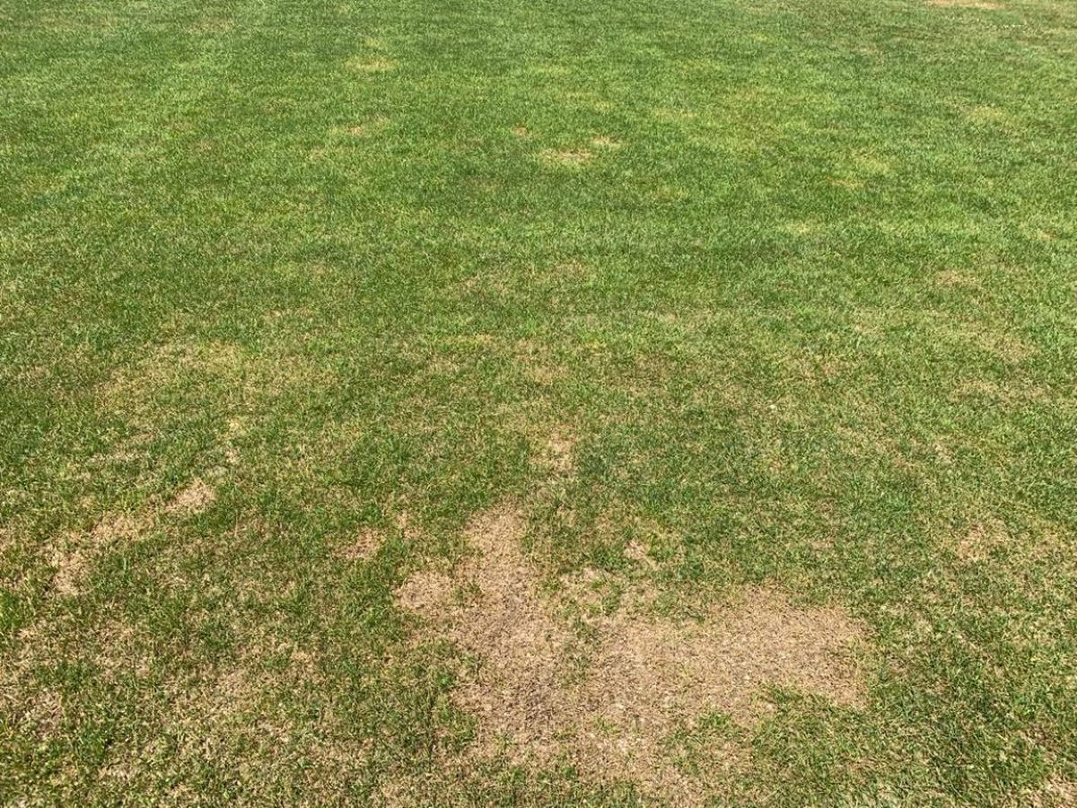 Mihai Stoica n-a rămas dator: „Cam glumeț, am văzut că m-a tutuit! Să își vadă de «Masa tăcerii»”