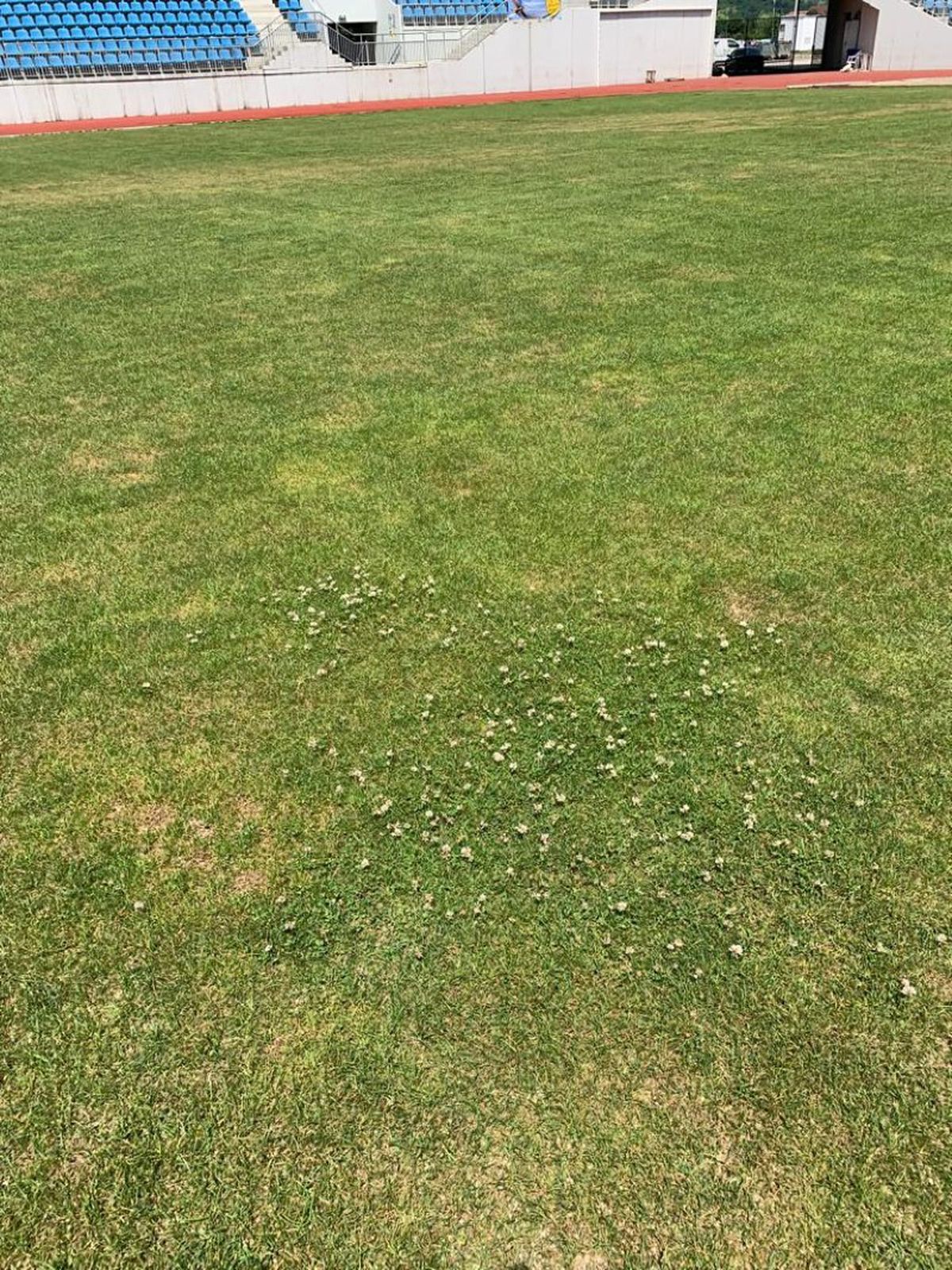 Mihai Stoica n-a rămas dator: „Cam glumeț, am văzut că m-a tutuit! Să își vadă de «Masa tăcerii»”