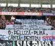 Mesajul apărut în peluza celor de la FCSB la meciul cu CFR Cluj din Supercupa României. FOTO: Andrei Furnigă