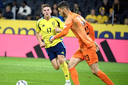 EXCLUSIV Dinamo vrea să-și betoneze poarta cu un titular de națională