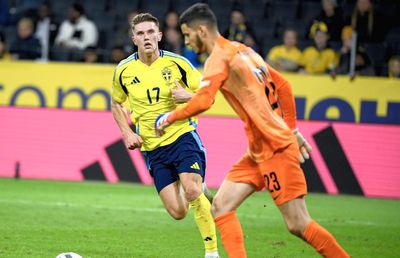 Dinamo vrea să-și betoneze poarta cu un titular de națională