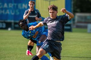 Rapid - Rapid Viena, al doilea amical al verii pentru echipa lui Daniel Pancu