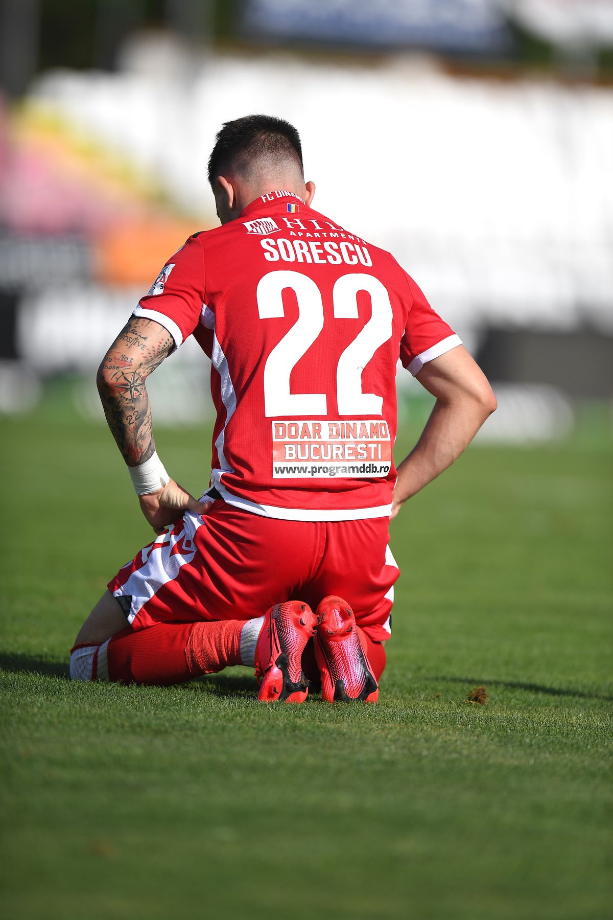 EXCLUSIV Dinamo visează frumos! „Câinii” vor să-l aducă înapoi pe unul dintre favoriții fanilor