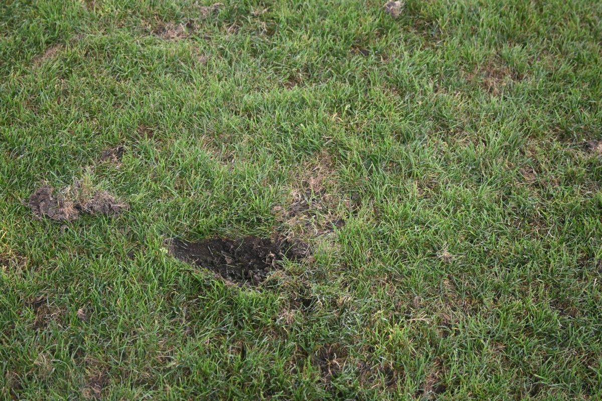 Arcul de Triumf Gazon