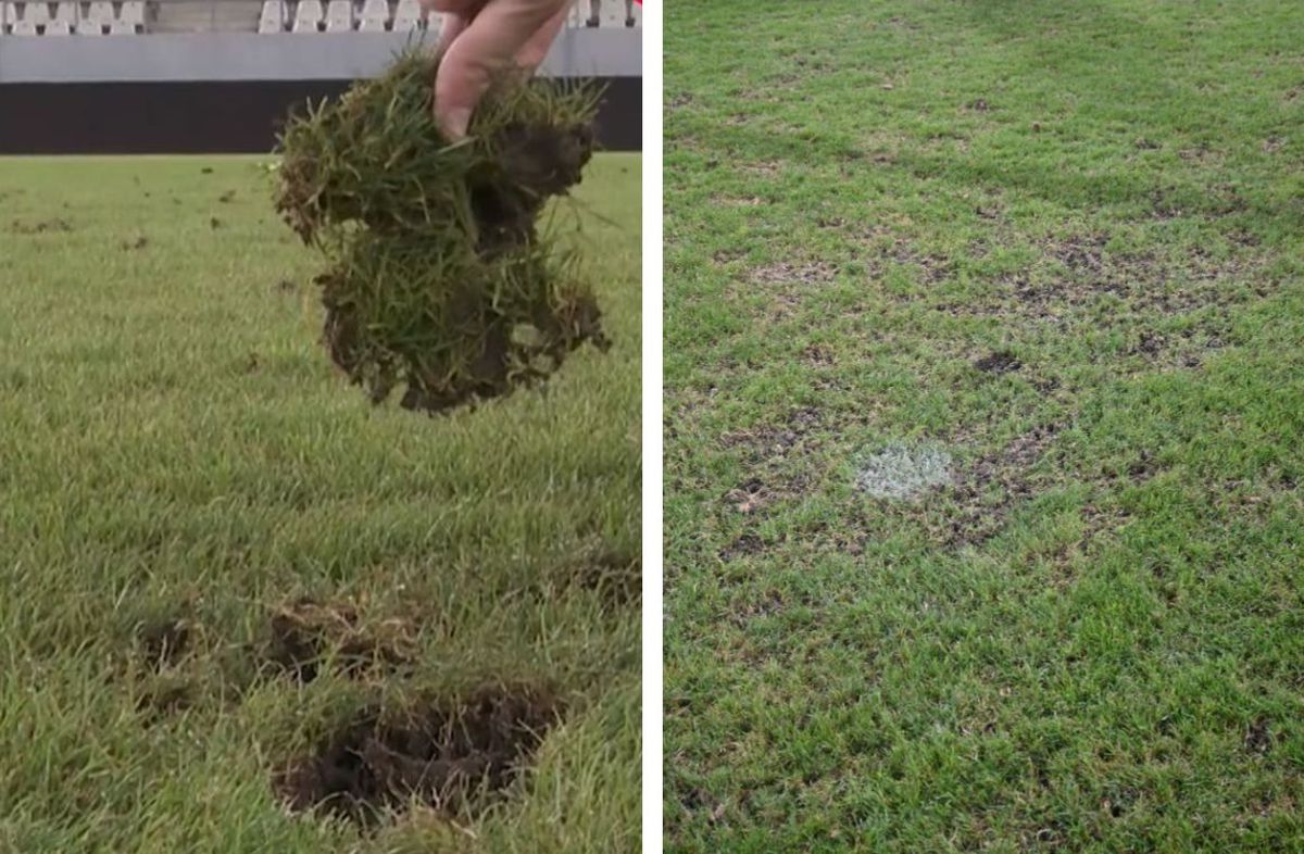 Reporterii GSP au inspectat gazonul de pe „Arc” imediat după România - SUA » Suprafață IMPOSIBILĂ cu 5 zile înainte de FCSB - Nordsjaelland