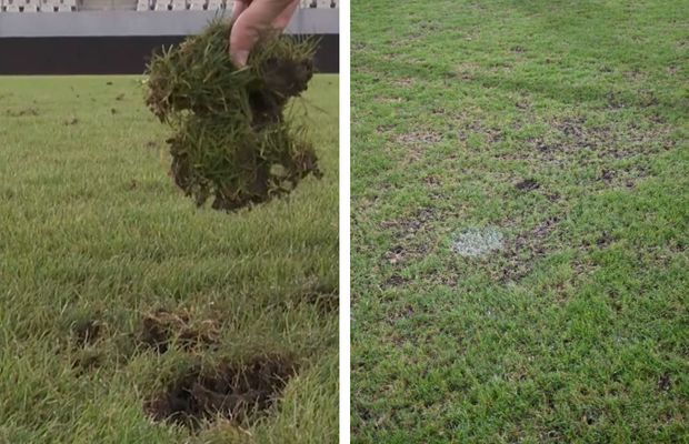 Reporterii GSP au inspectat gazonul de pe „Arc” imediat după România - SUA » Suprafață IMPOSIBILĂ cu 5 zile înainte de FCSB - Nordsjaelland