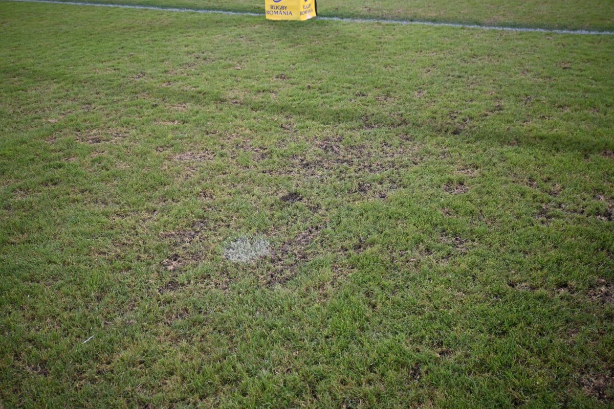 Arcul de Triumf Gazon