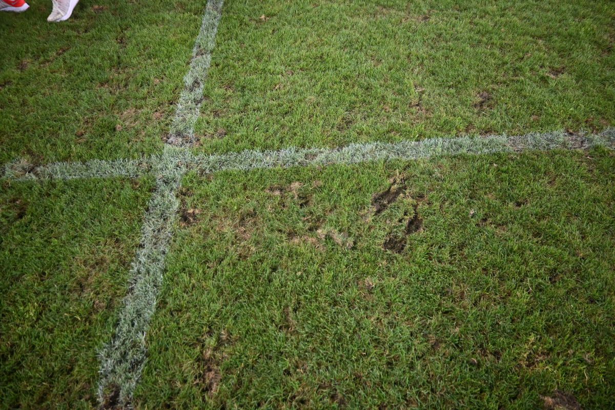 Reporterii GSP au inspectat gazonul de pe „Arc” imediat după România - SUA » Suprafață IMPOSIBILĂ cu 5 zile înainte de FCSB - Nordsjaelland