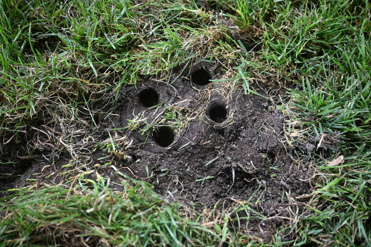 Reporterii GSP au inspectat gazonul de pe „Arc” imediat după România - SUA » Suprafață IMPOSIBILĂ cu 5 zile înainte de FCSB - Nordsjaelland