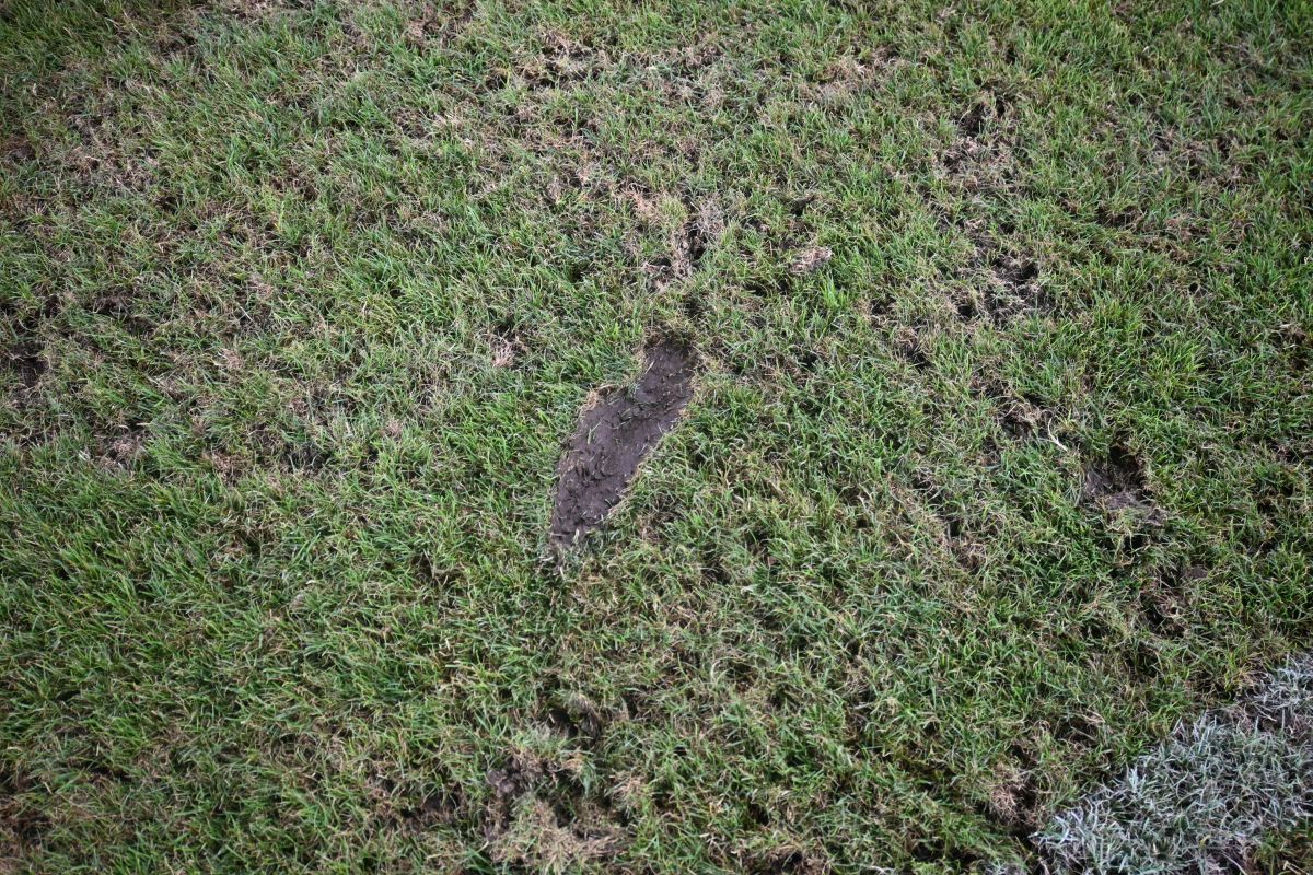 Reporterii GSP au inspectat gazonul de pe „Arc” imediat după România - SUA » Suprafață IMPOSIBILĂ cu 5 zile înainte de FCSB - Nordsjaelland