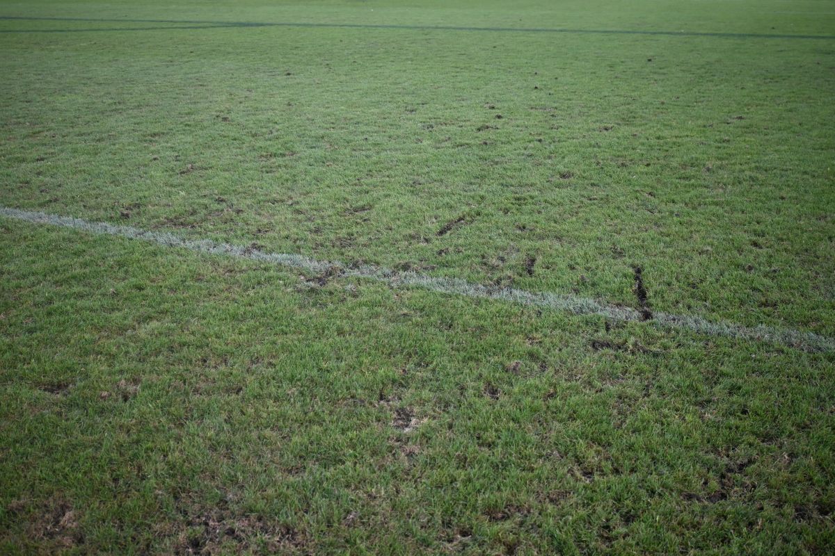 Arcul de Triumf Gazon