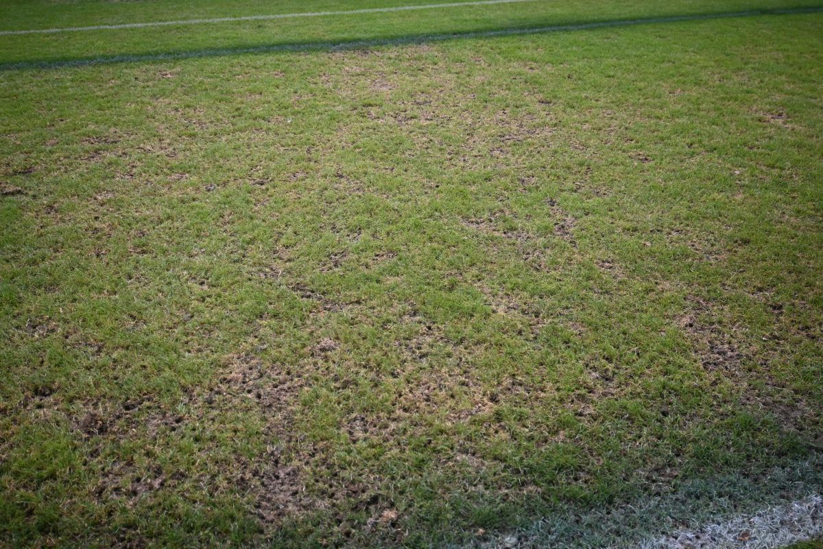 Reporterii GSP au inspectat gazonul de pe „Arc” imediat după România - SUA » Suprafață IMPOSIBILĂ cu 5 zile înainte de FCSB - Nordsjaelland