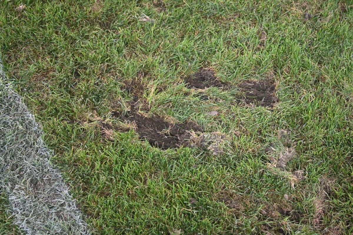 Reporterii GSP au inspectat gazonul de pe „Arc” imediat după România - SUA » Suprafață IMPOSIBILĂ cu 5 zile înainte de FCSB - Nordsjaelland