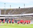 Antrenament Sparta Praga, înaintea meciului cu FCSB. FOTO: Cristi Preda (GSP.RO)