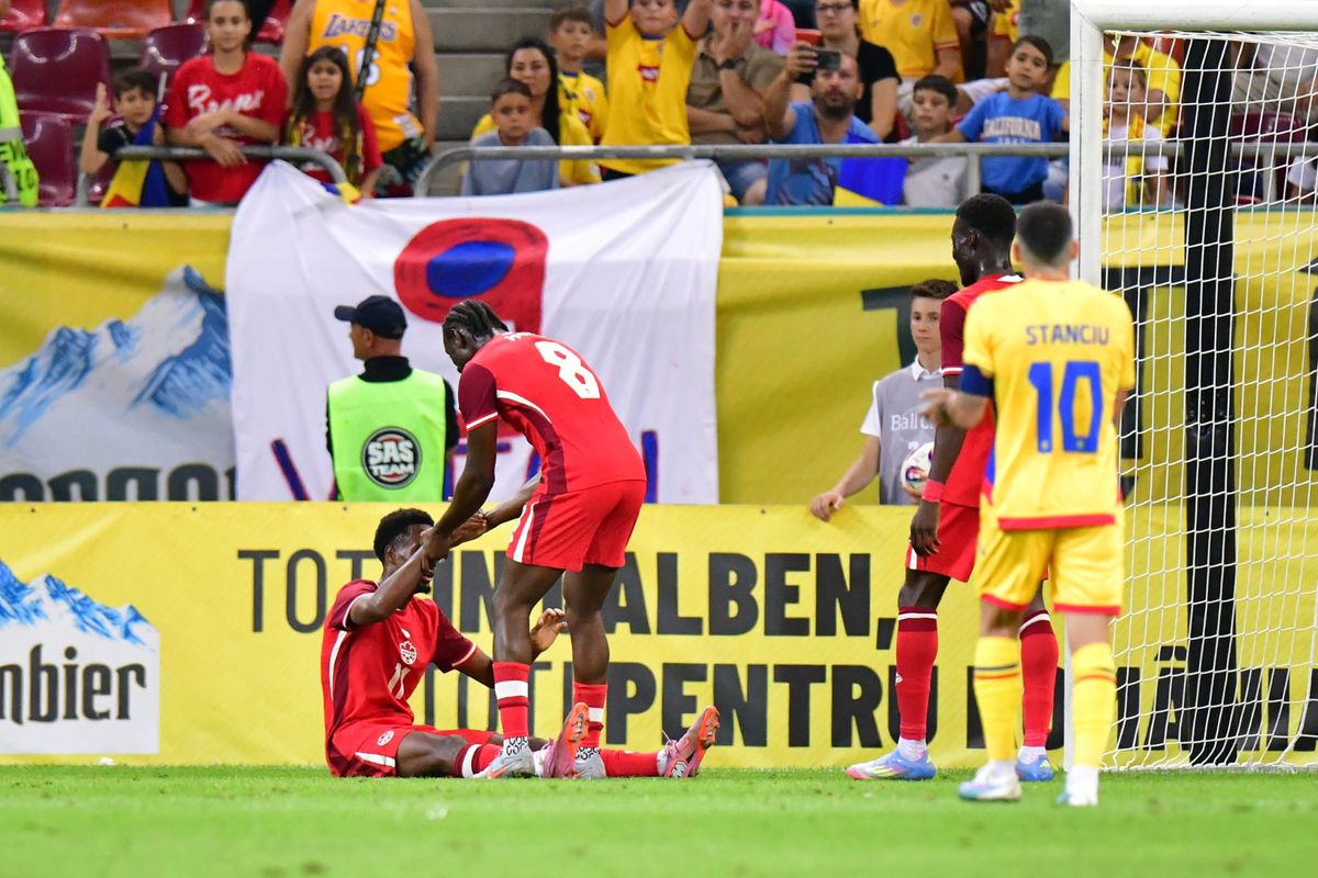 Ionuț Chirilă a intrat la pauză „cu mitraliera”: „Lebede canadiene slalomând printre niște tractoare care arau câmpul liniar”