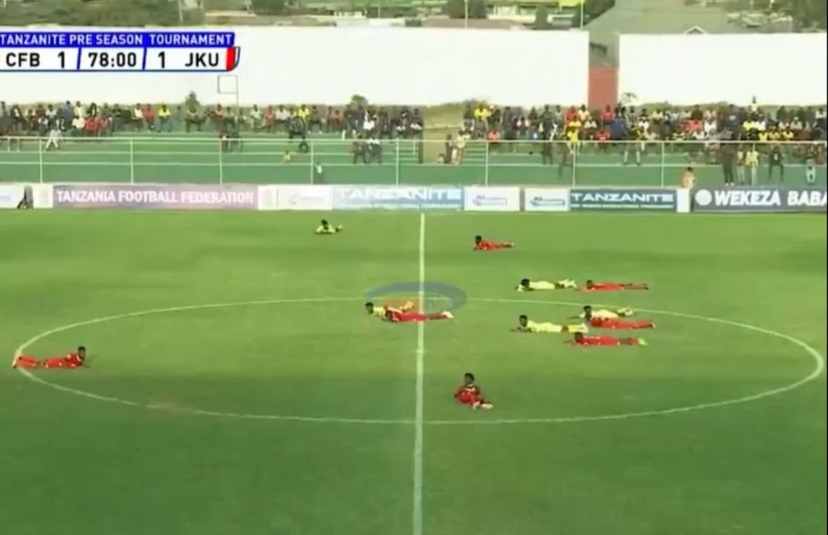 Albinele au întrerupt un meci din Tanzania