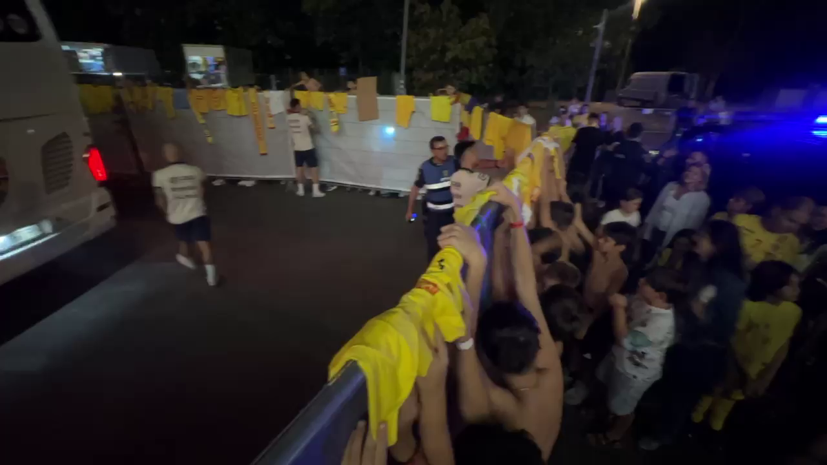 Scene penibile: generația de suflet, ascunsă de copii prin garduri de doi metri! Ce nu s-a văzut la TV, după umilința din România - Canada