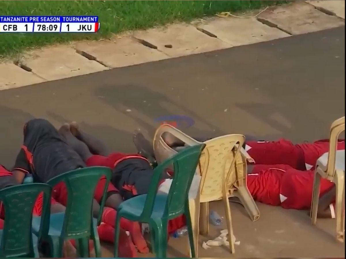 Albinele au întrerupt un meci din Tanzania