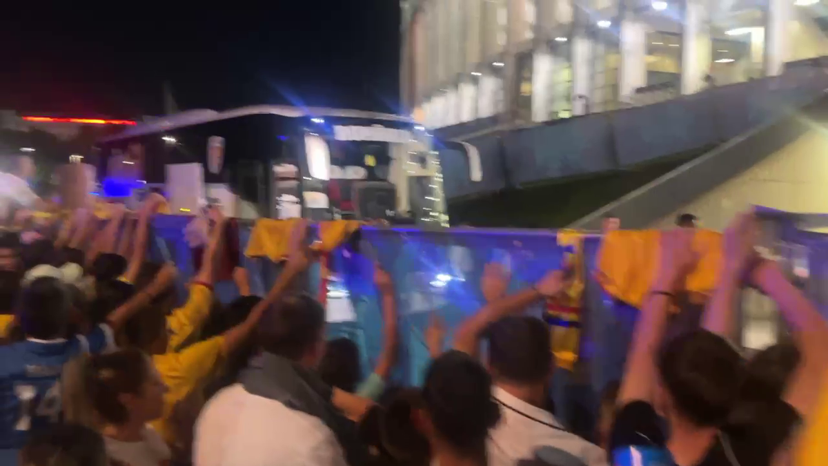 Scene penibile: generația de suflet, ascunsă de copii prin garduri de doi metri! Ce nu s-a văzut la TV, după umilința din România - Canada