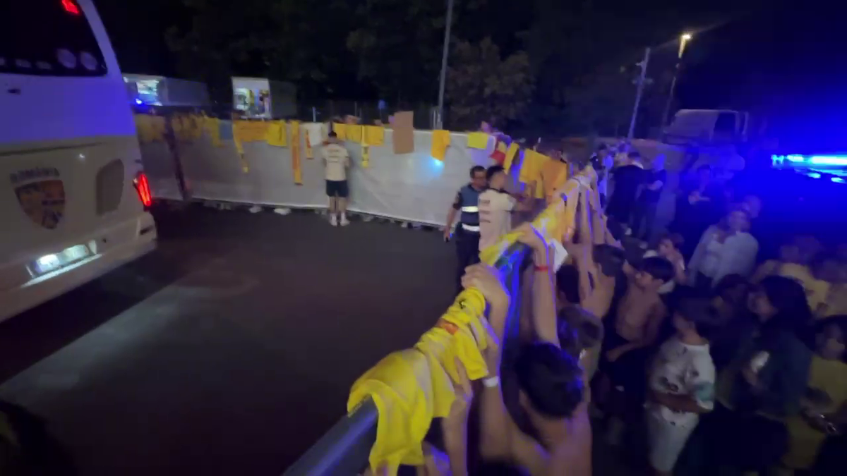 Scene penibile: generația de suflet, ascunsă de copii prin garduri de doi metri! Ce nu s-a văzut la TV, după umilința din România - Canada