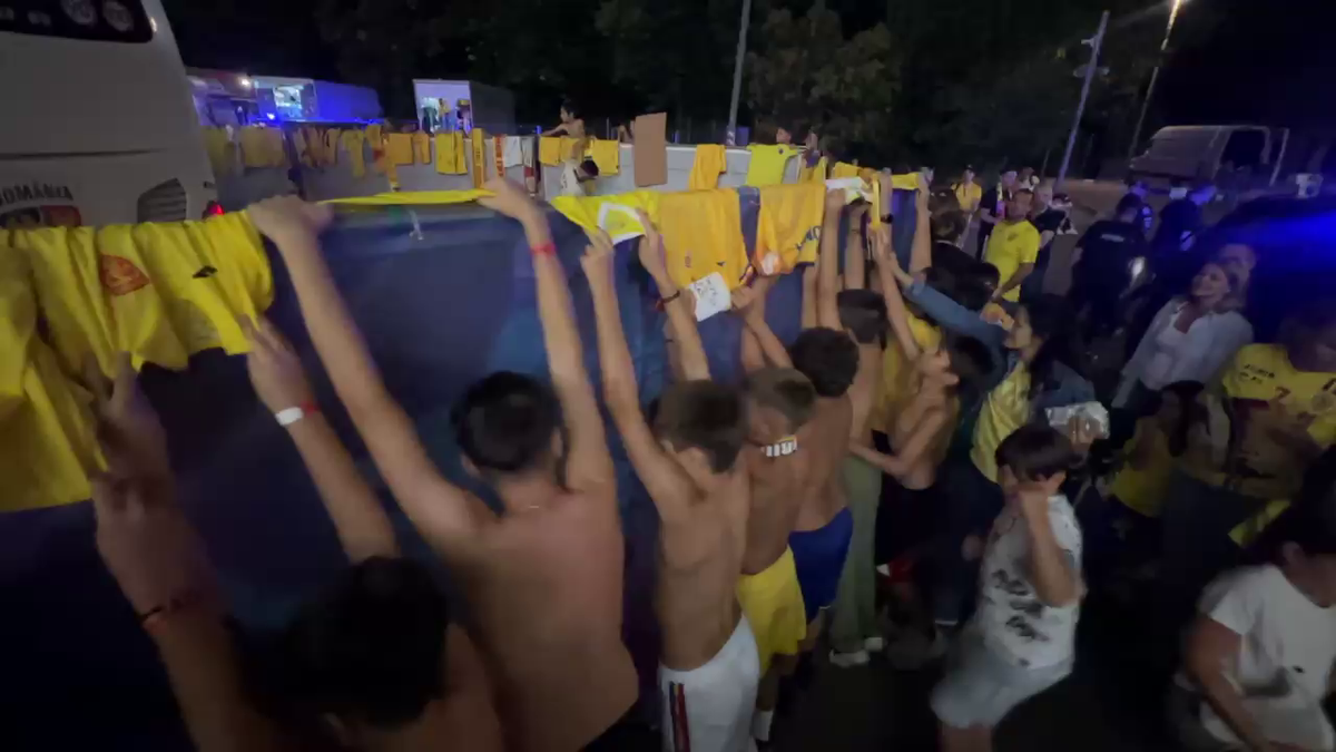 Scene penibile: generația de suflet, ascunsă de copii prin garduri de doi metri! Ce nu s-a văzut la TV, după umilința din România - Canada