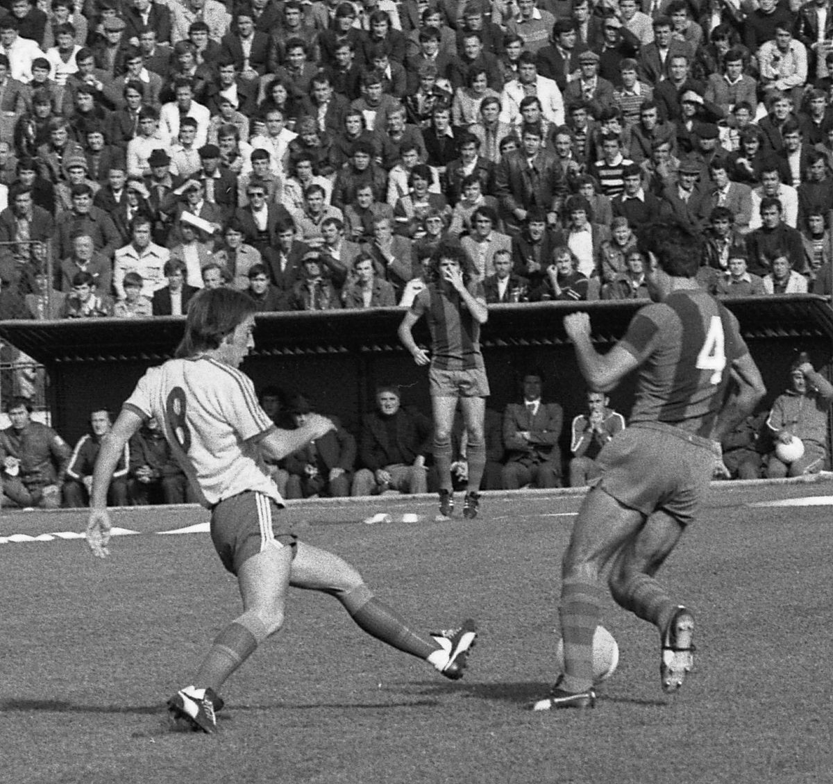 Marcel Răducanu - Portretul lui „Iosefini”